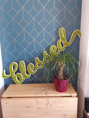 LOGO VEGETAL STABILISE - DECORATION VEGETALE SANS ENTRETIEN