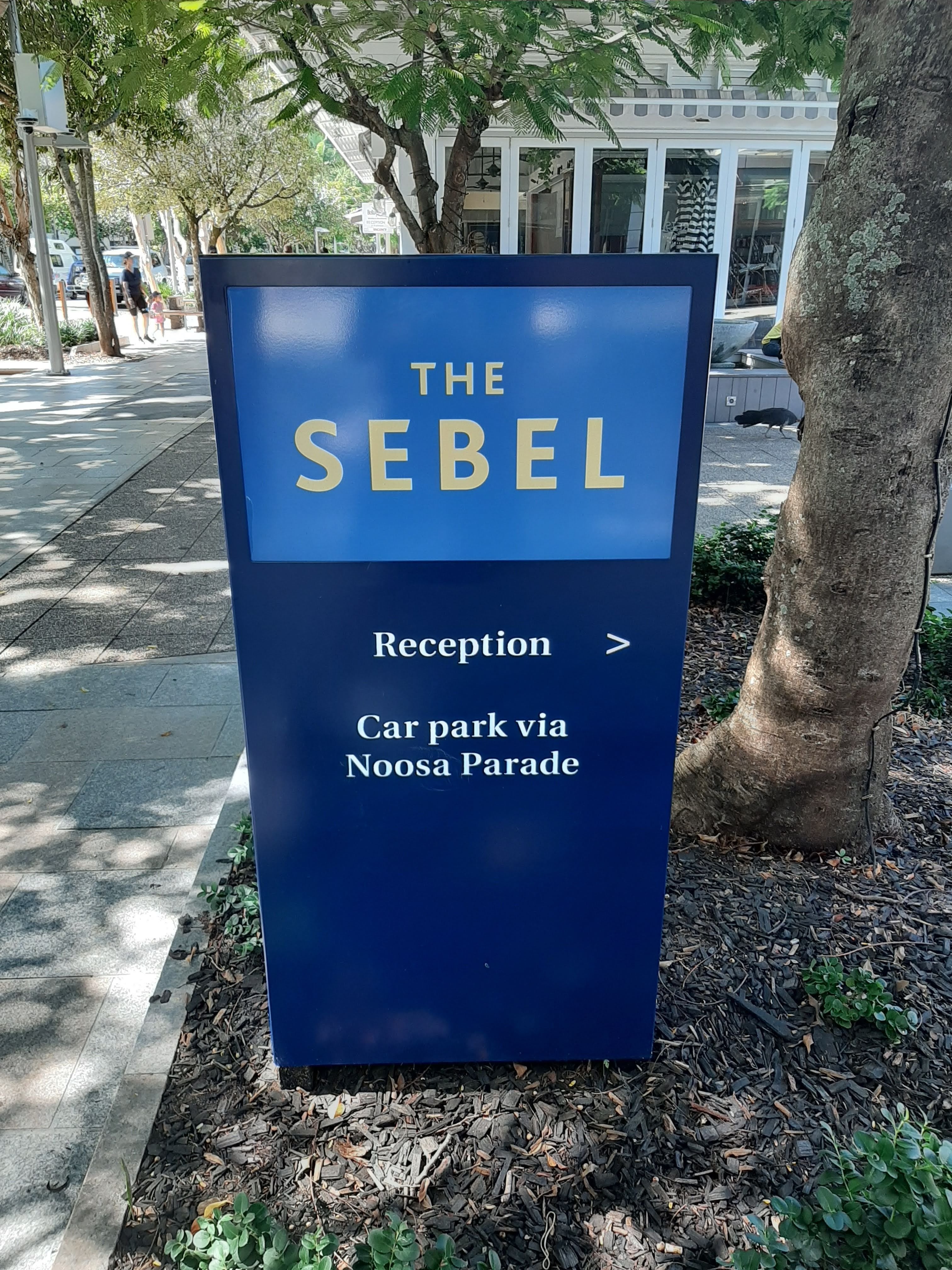 The Sebel's Illuminated Sign