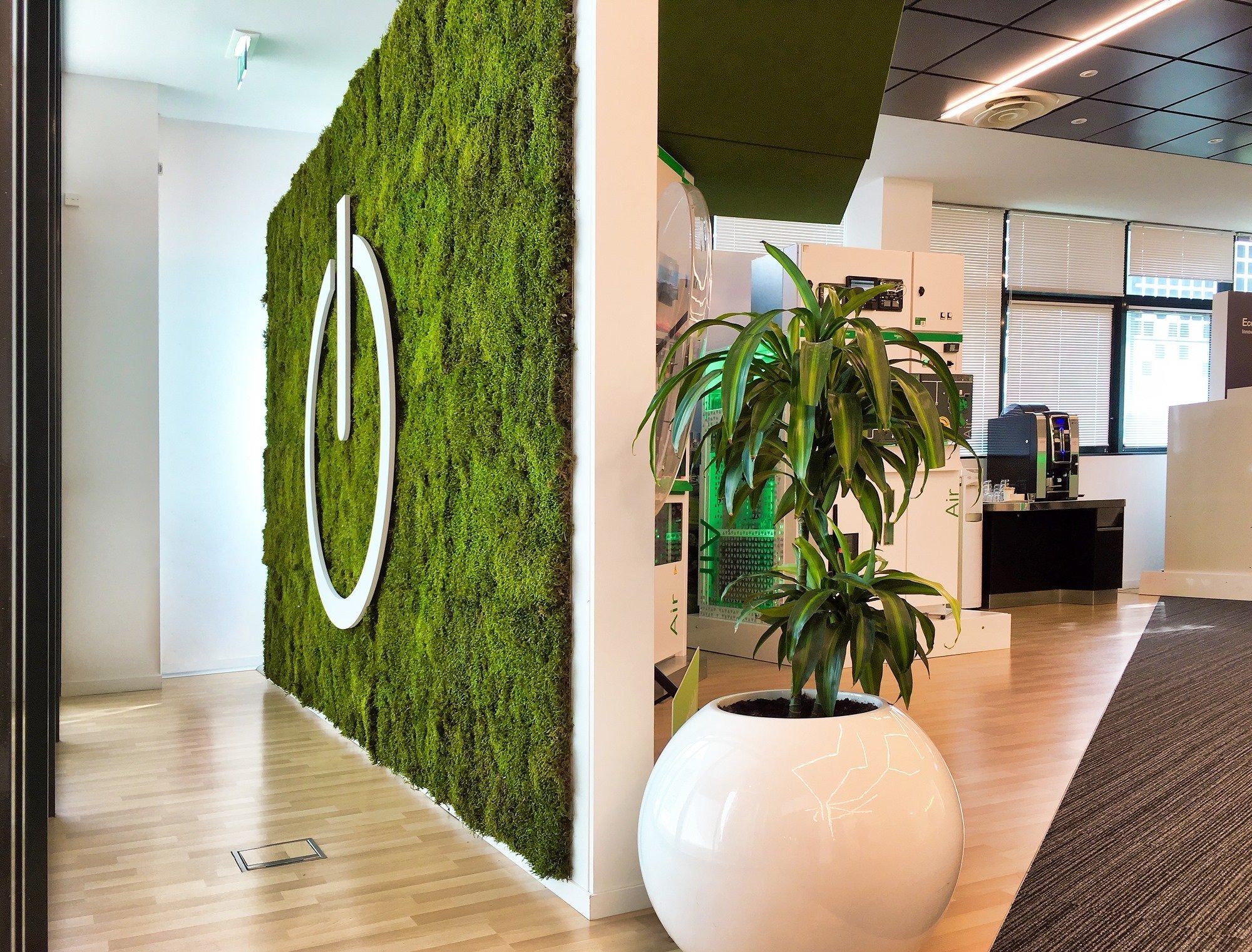 LOGO ou  MUR VEGETAL