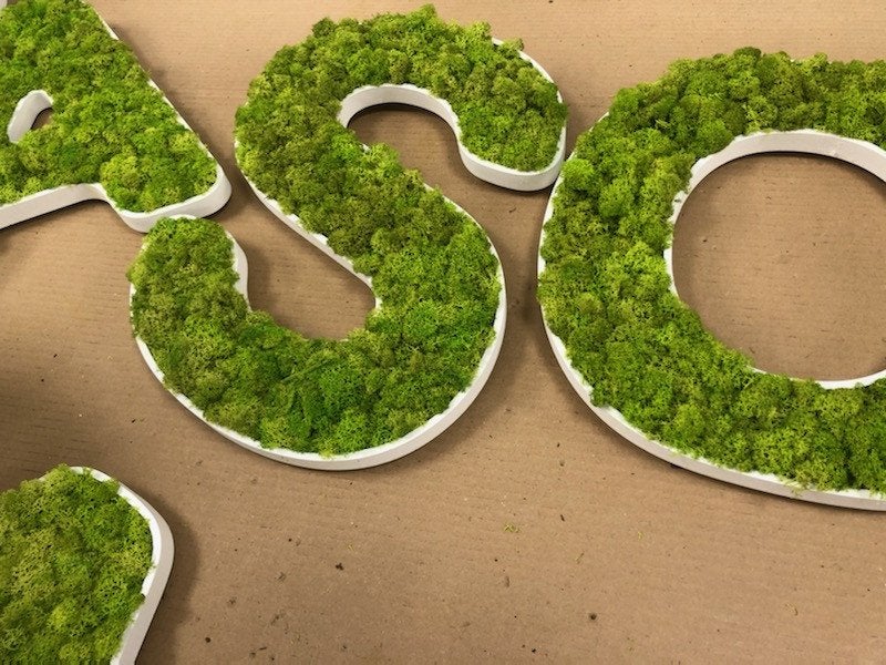 LOGO VEGETAL - FAITES ENTRER LA NATURE!