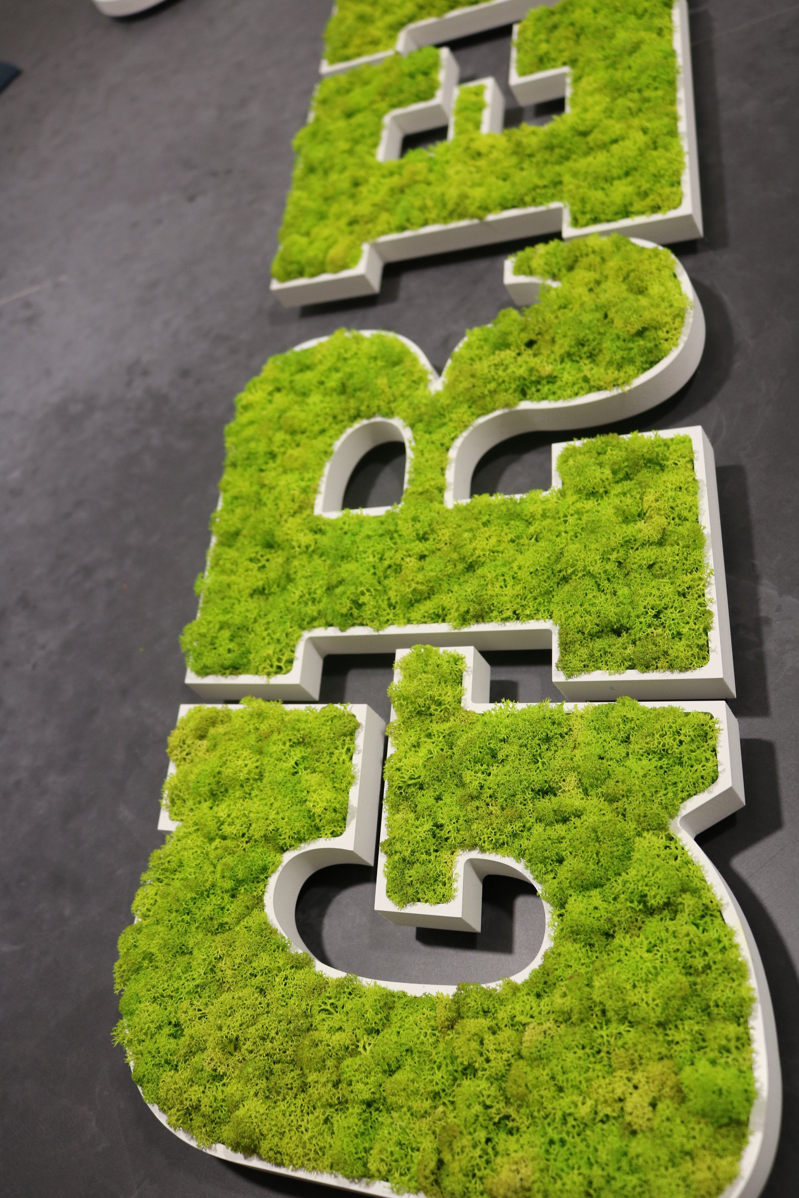 LOGO VEGETAL - FAITES ENTRER LA NATURE!