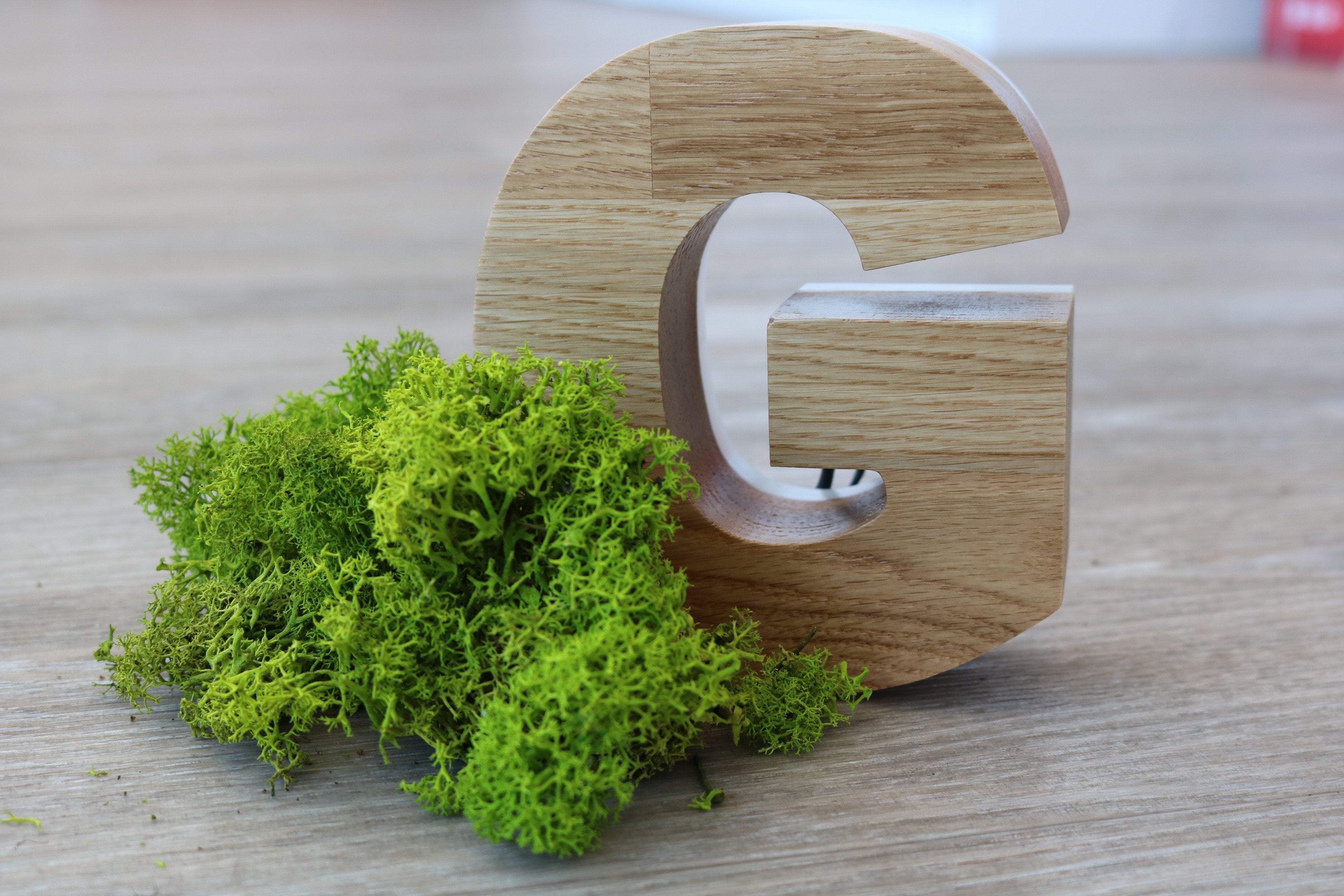 LOGO VEGETAL