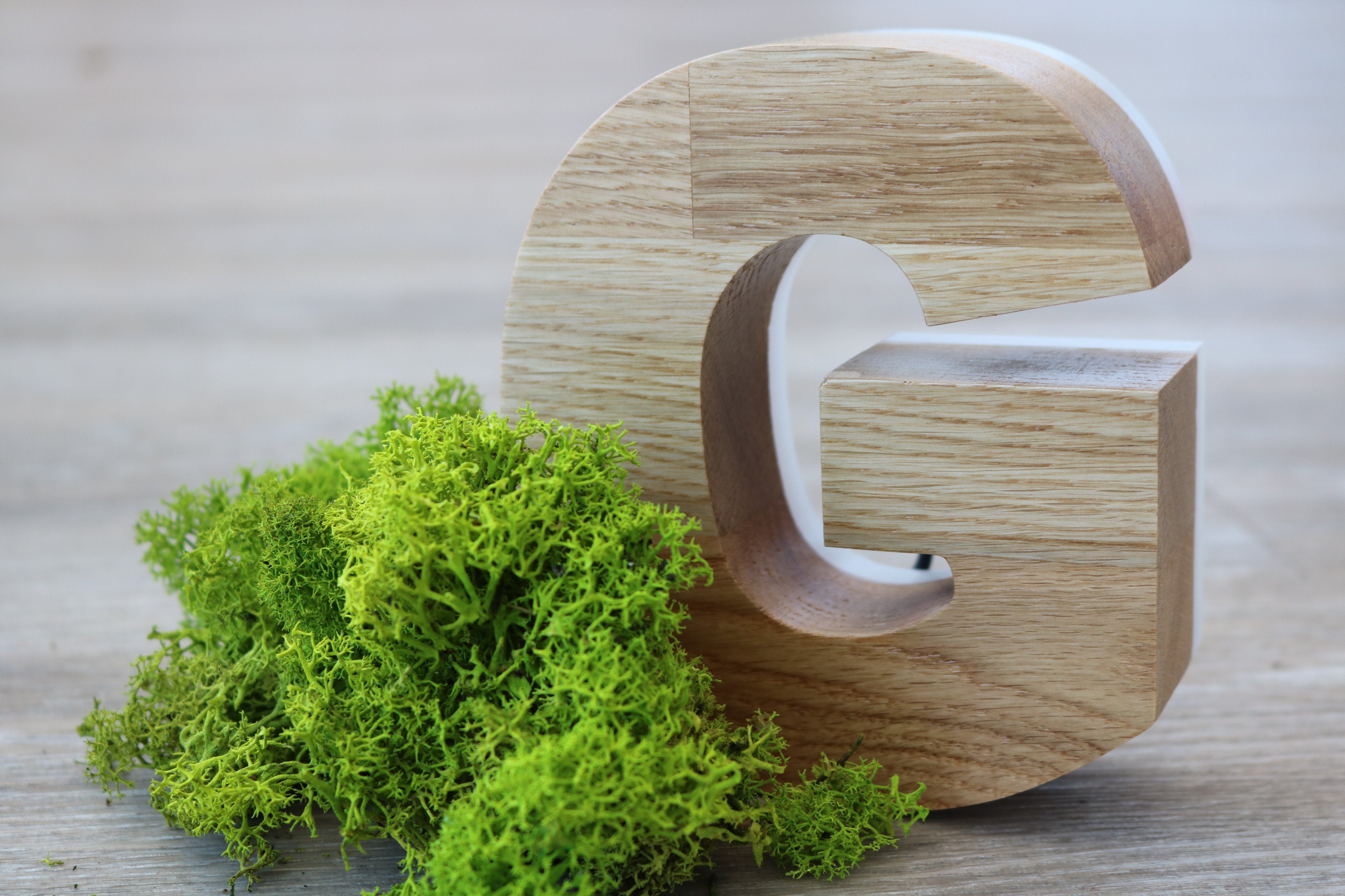 LOGO VEGETAL