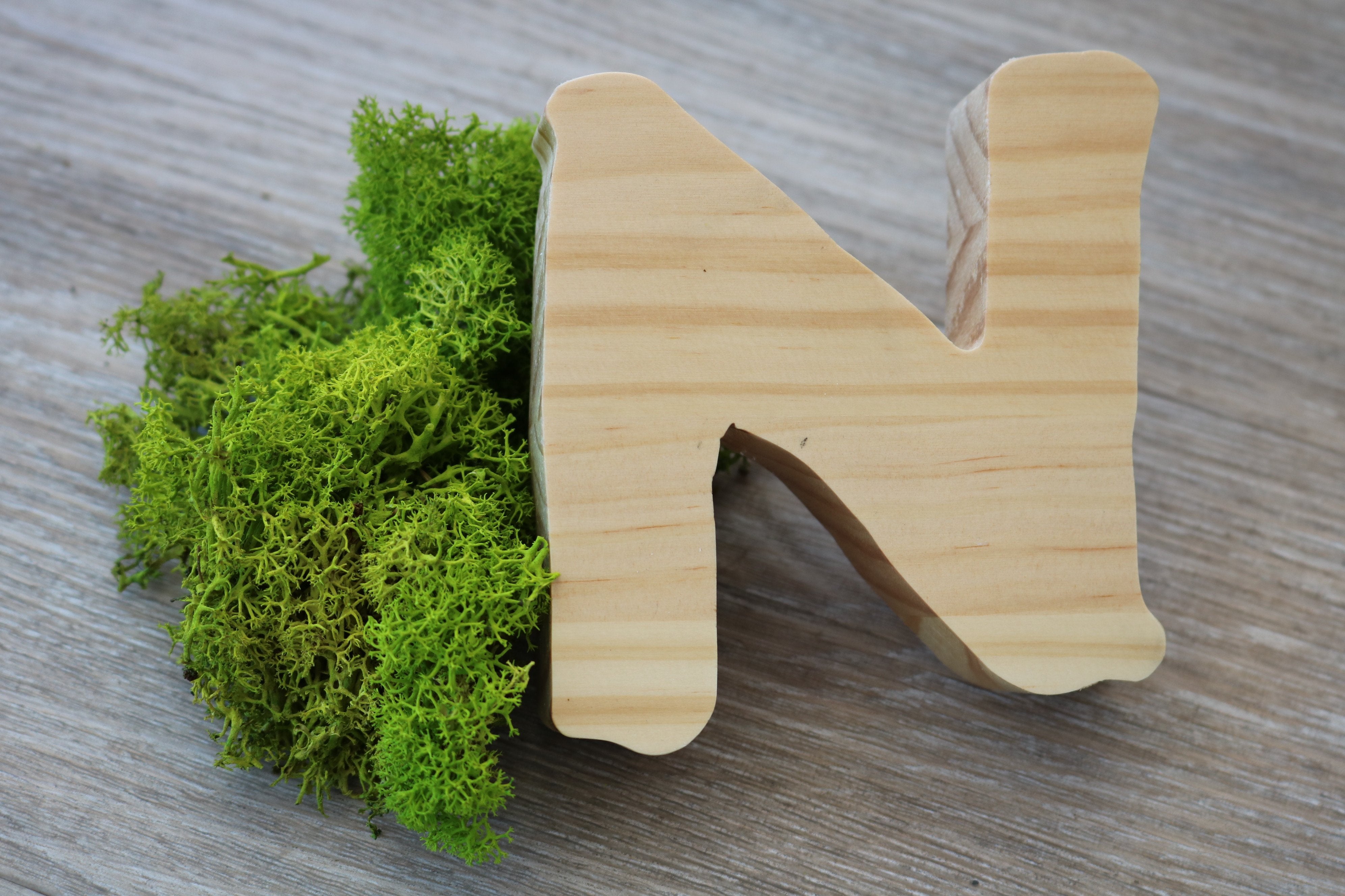 LOGO VEGETAL