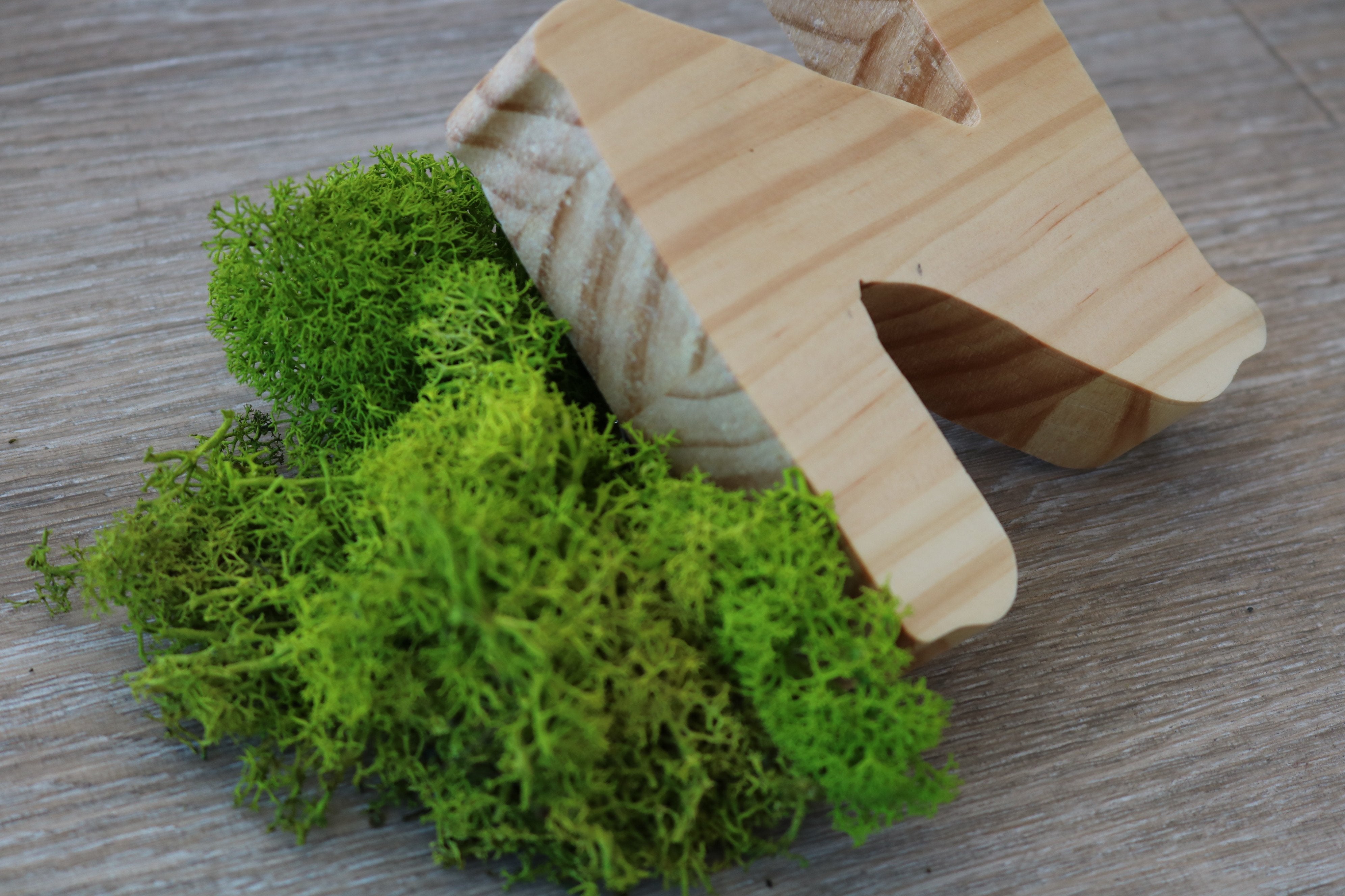 LOGO VEGETAL