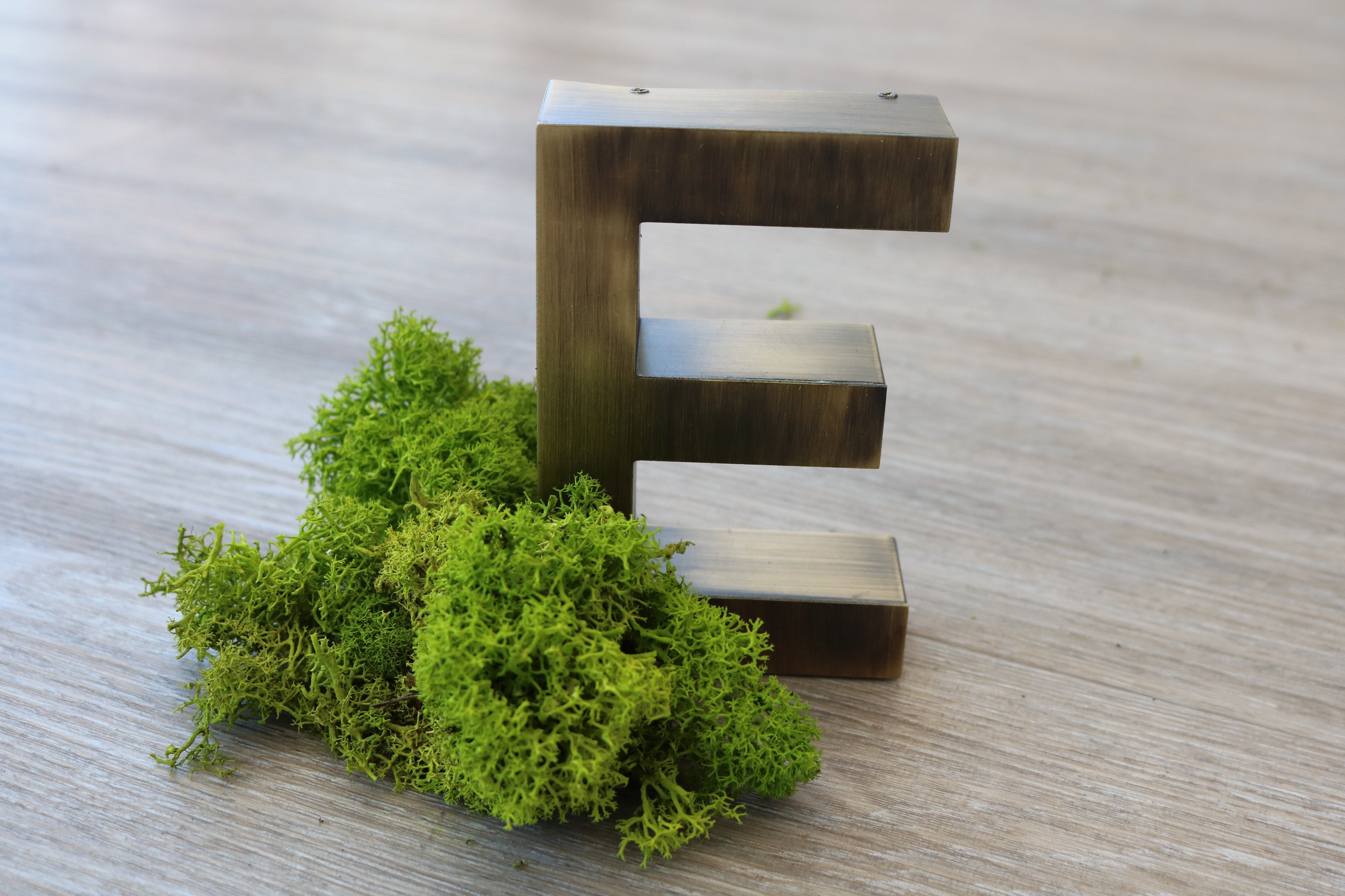 LOGO VEGETAL