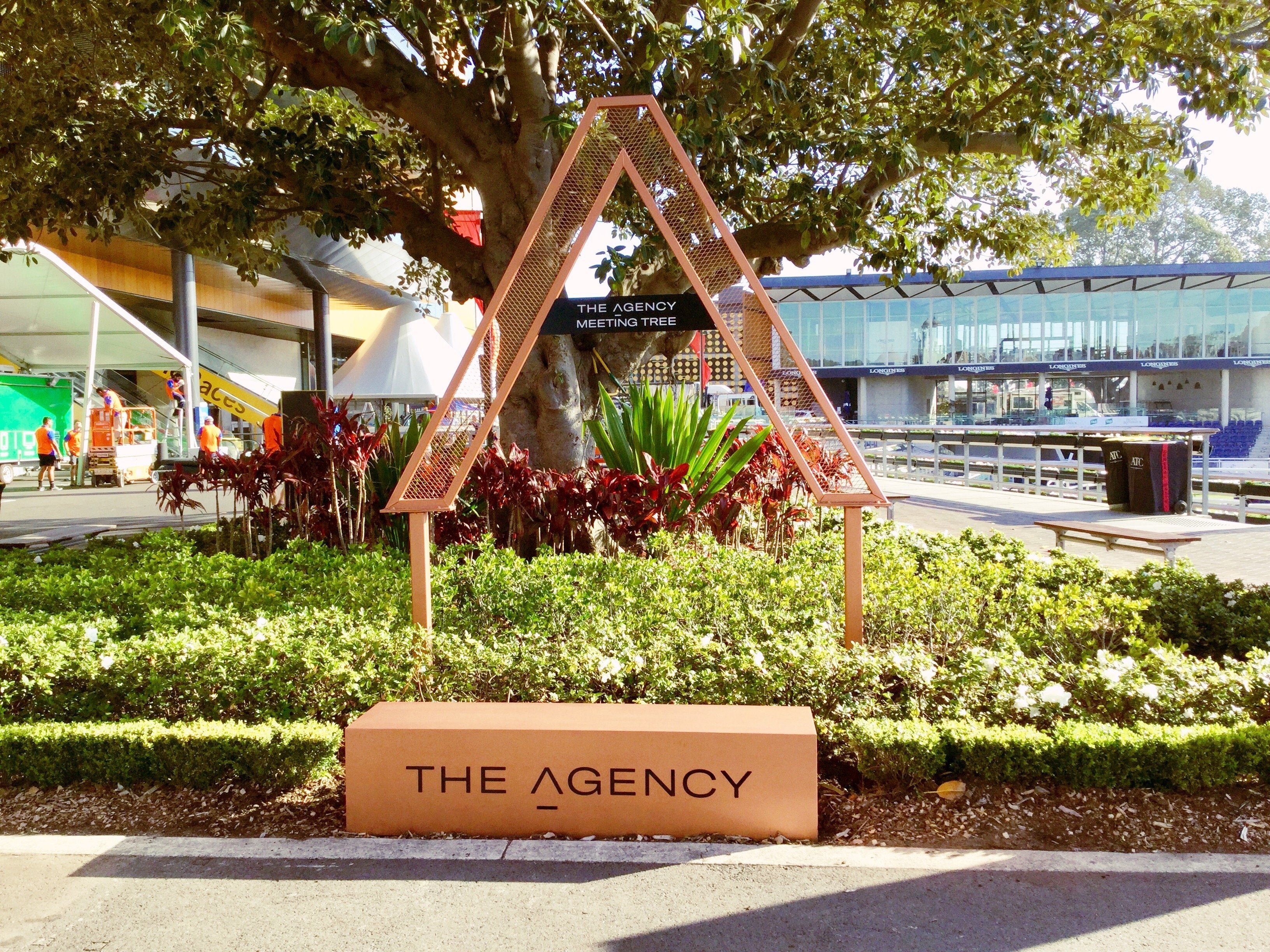 The Agency Meeting Tree- Signarama Sydney CBD South