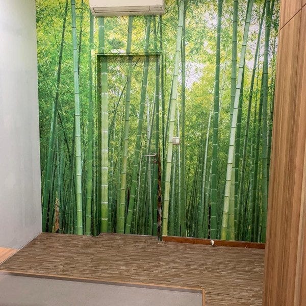Wall Mural Graphic