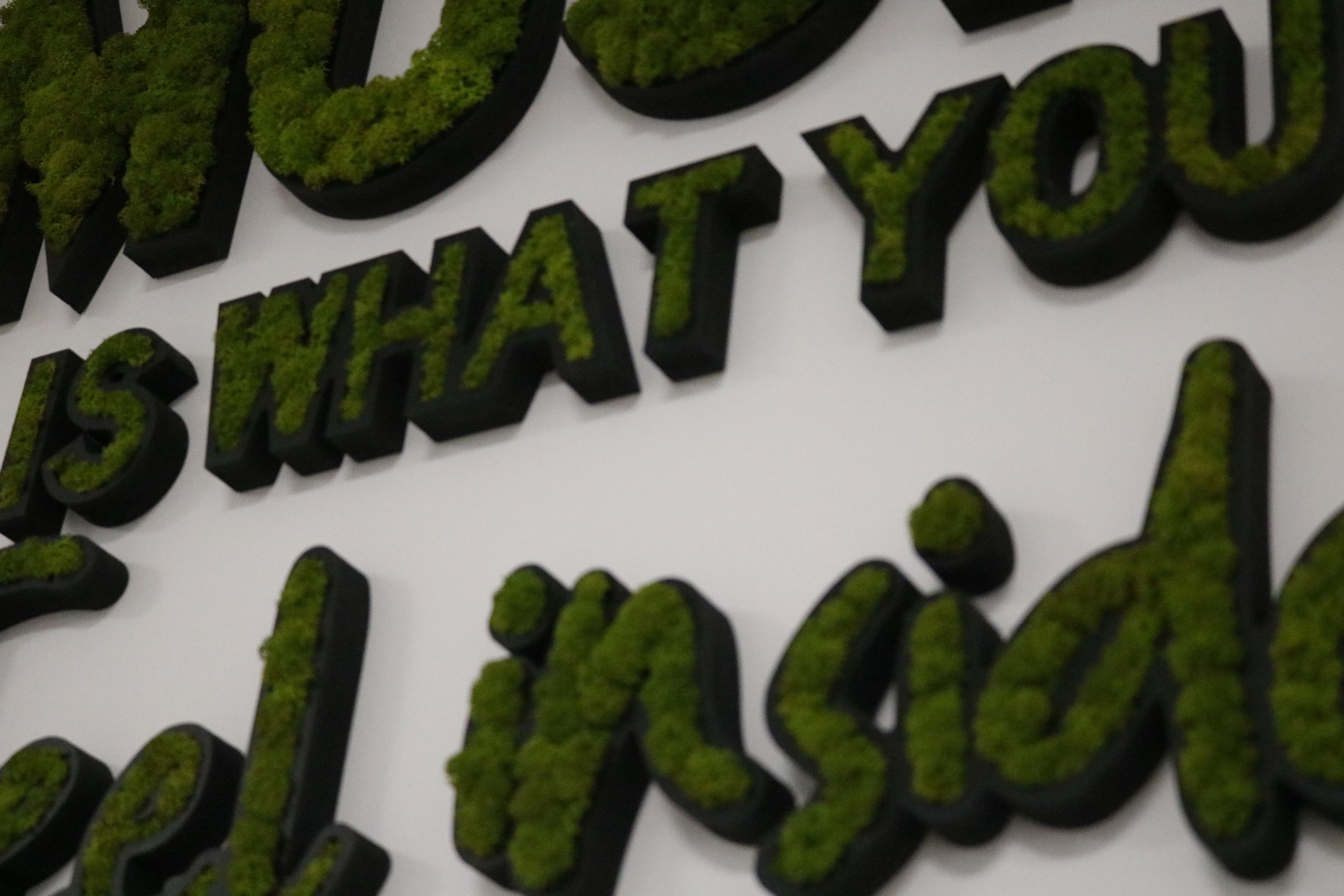 LOGO VEGETAL