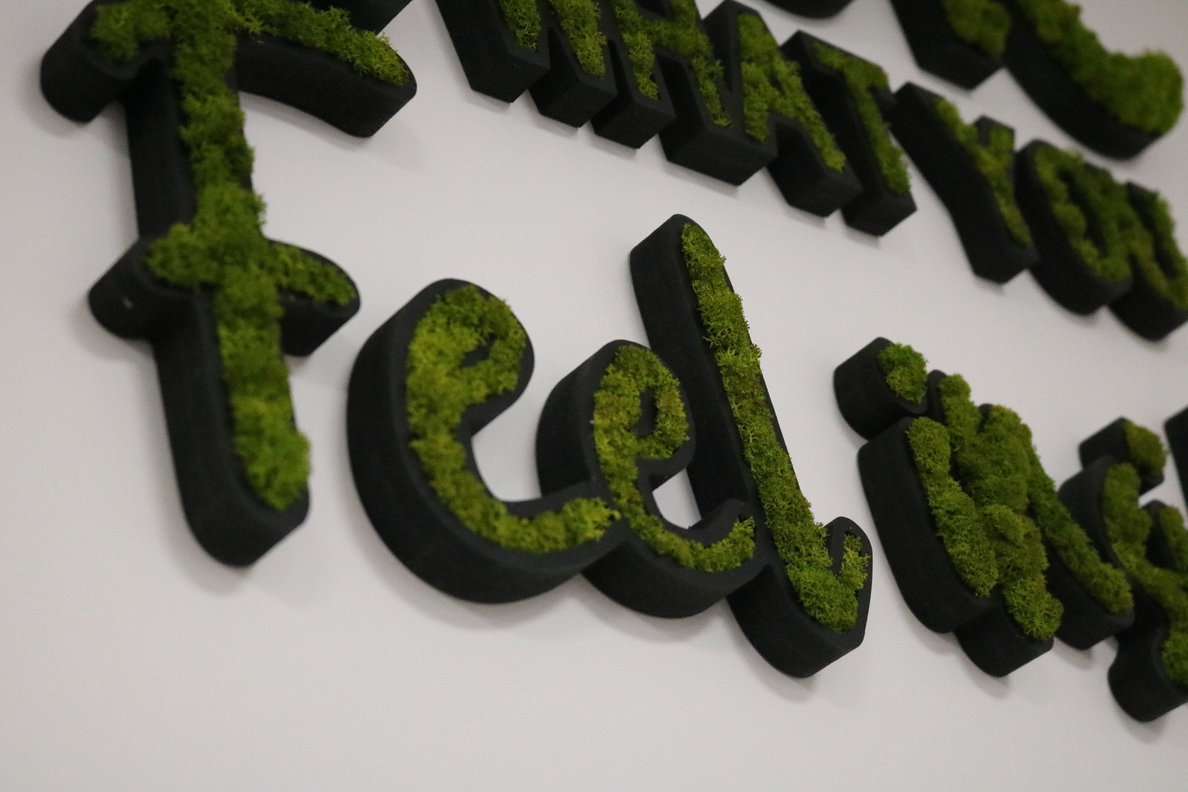 LOGO VEGETAL
