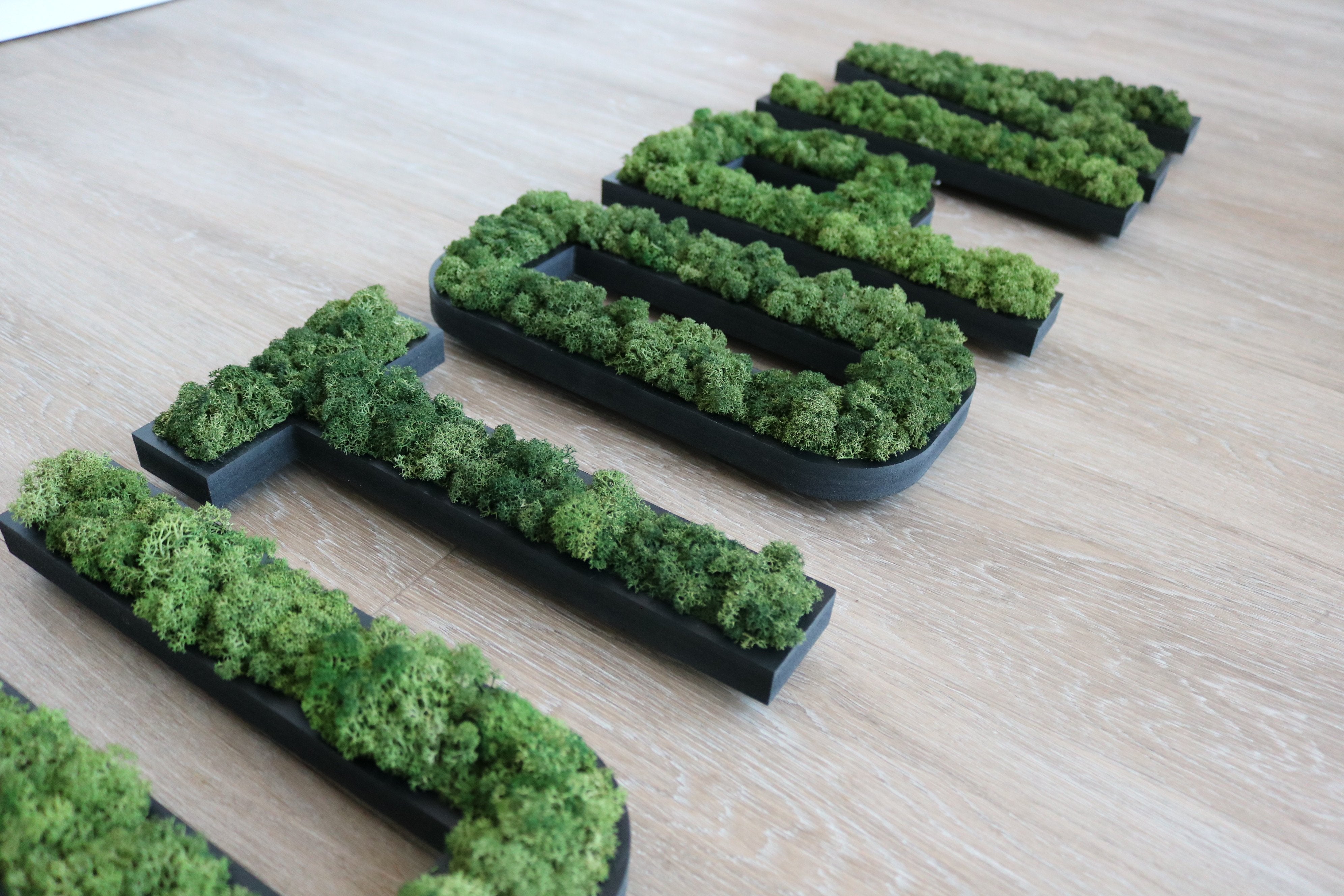 LOGO VEGETAL