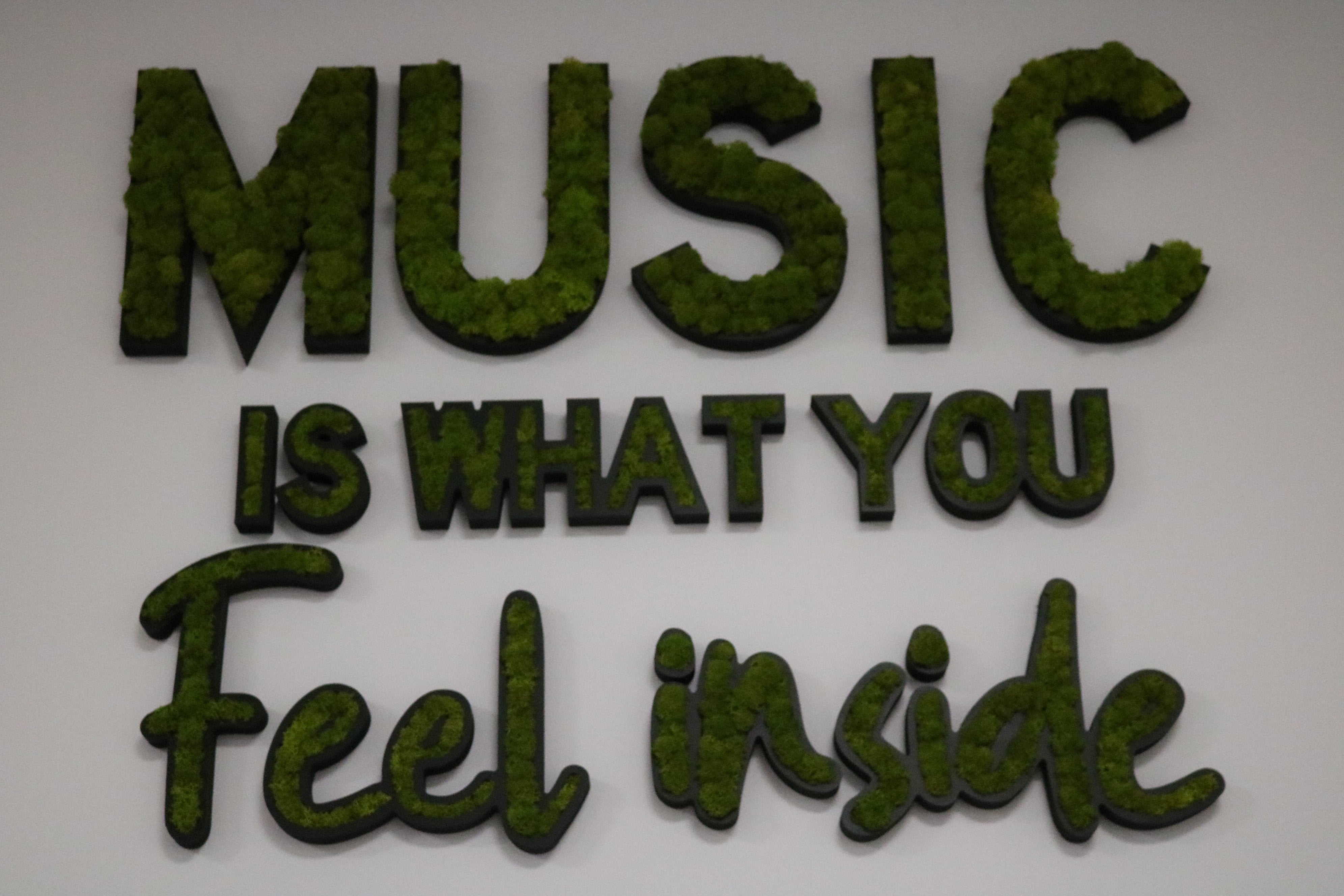 LOGO VEGETAL