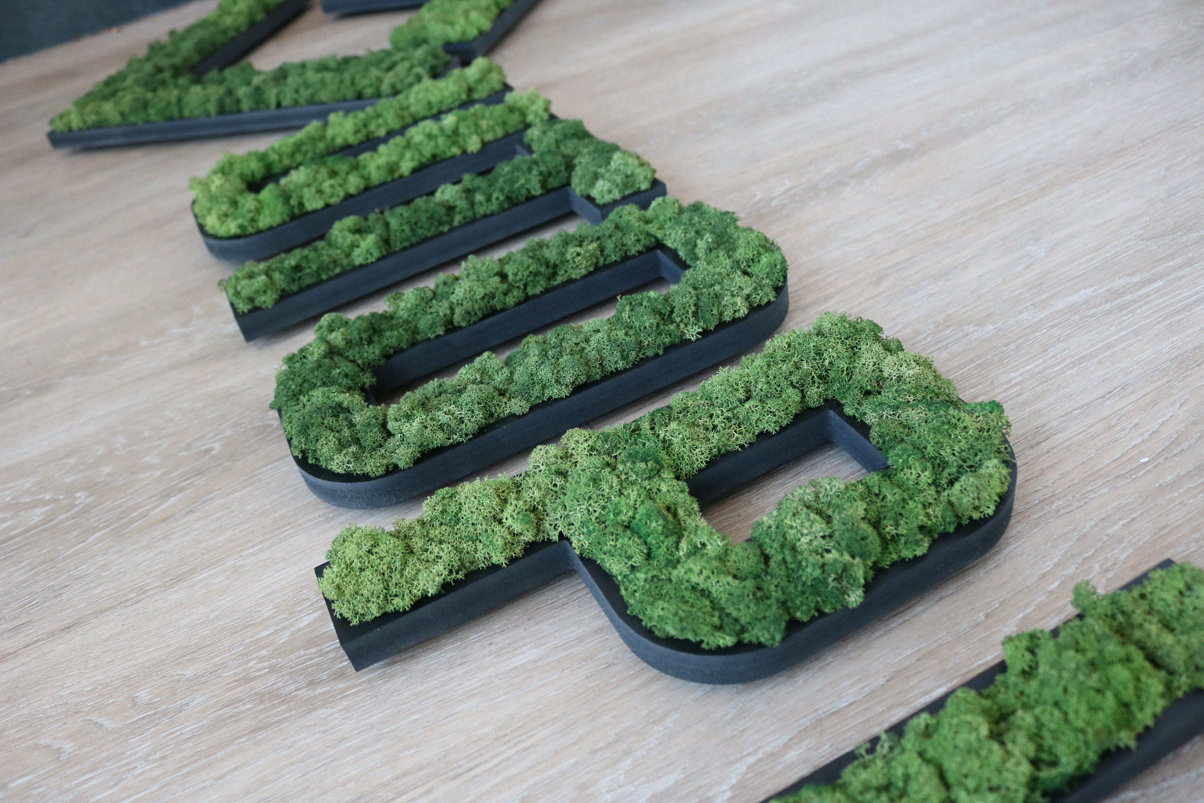 LOGO VEGETAL