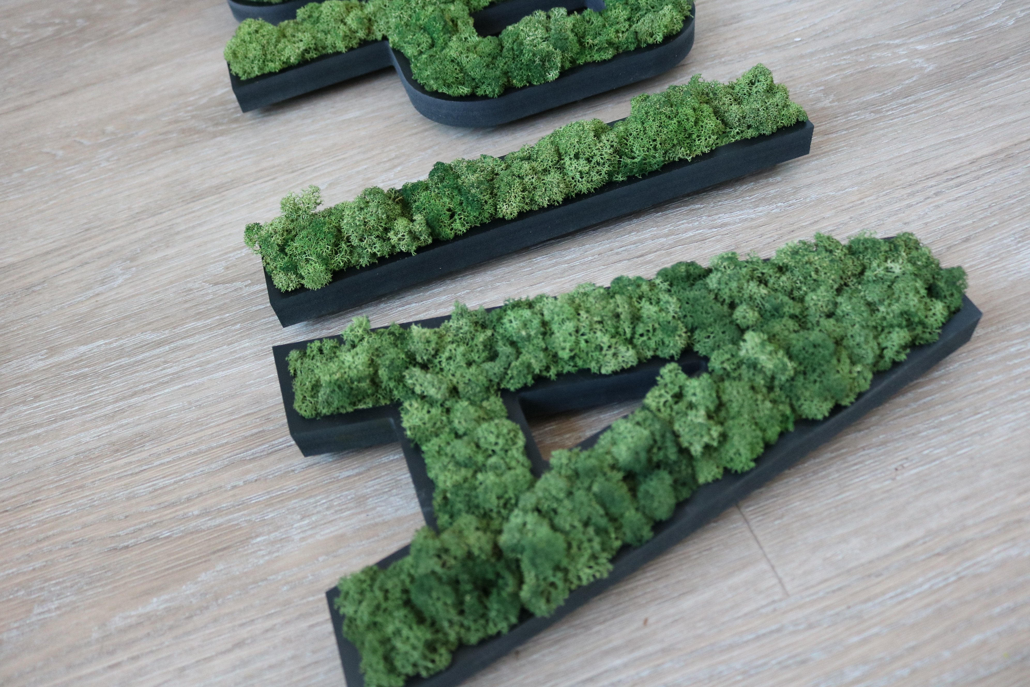LOGO VEGETAL