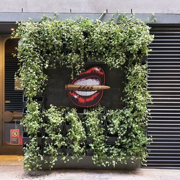 Signarama Sydney CBD City North - Exterior Logo Website Gallery 