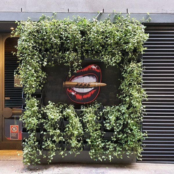 Signarama Sydney CBD City North - Exterior Logo Website Gallery