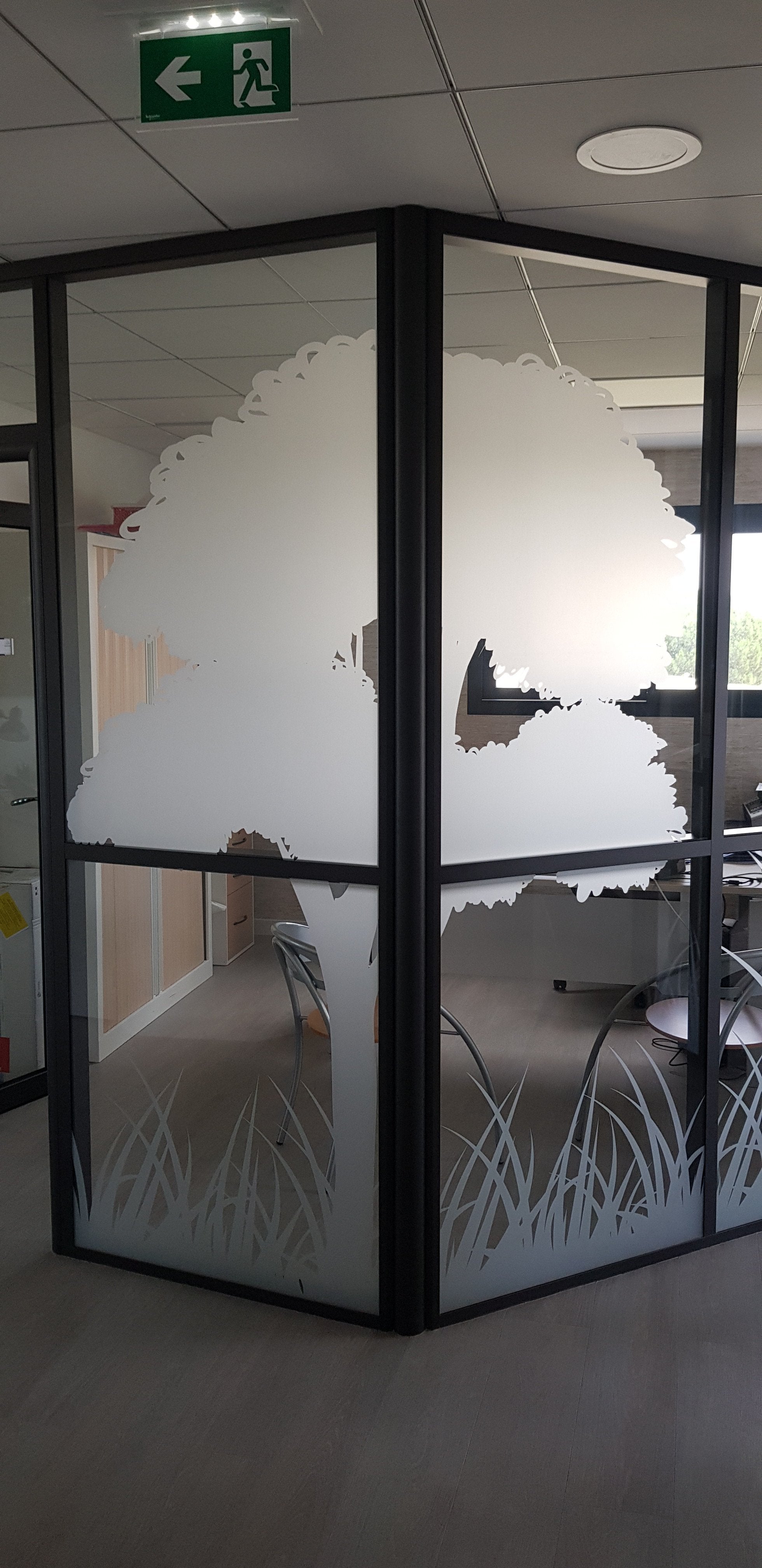 DECORATION BUREAUX ET VITRES