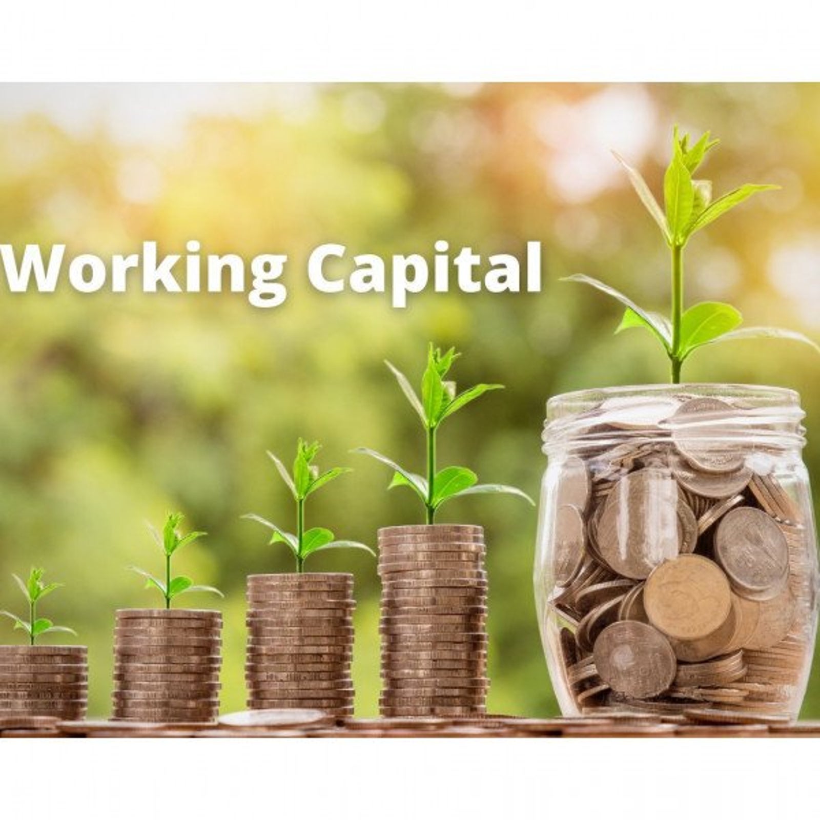Working Capital: Cash is King