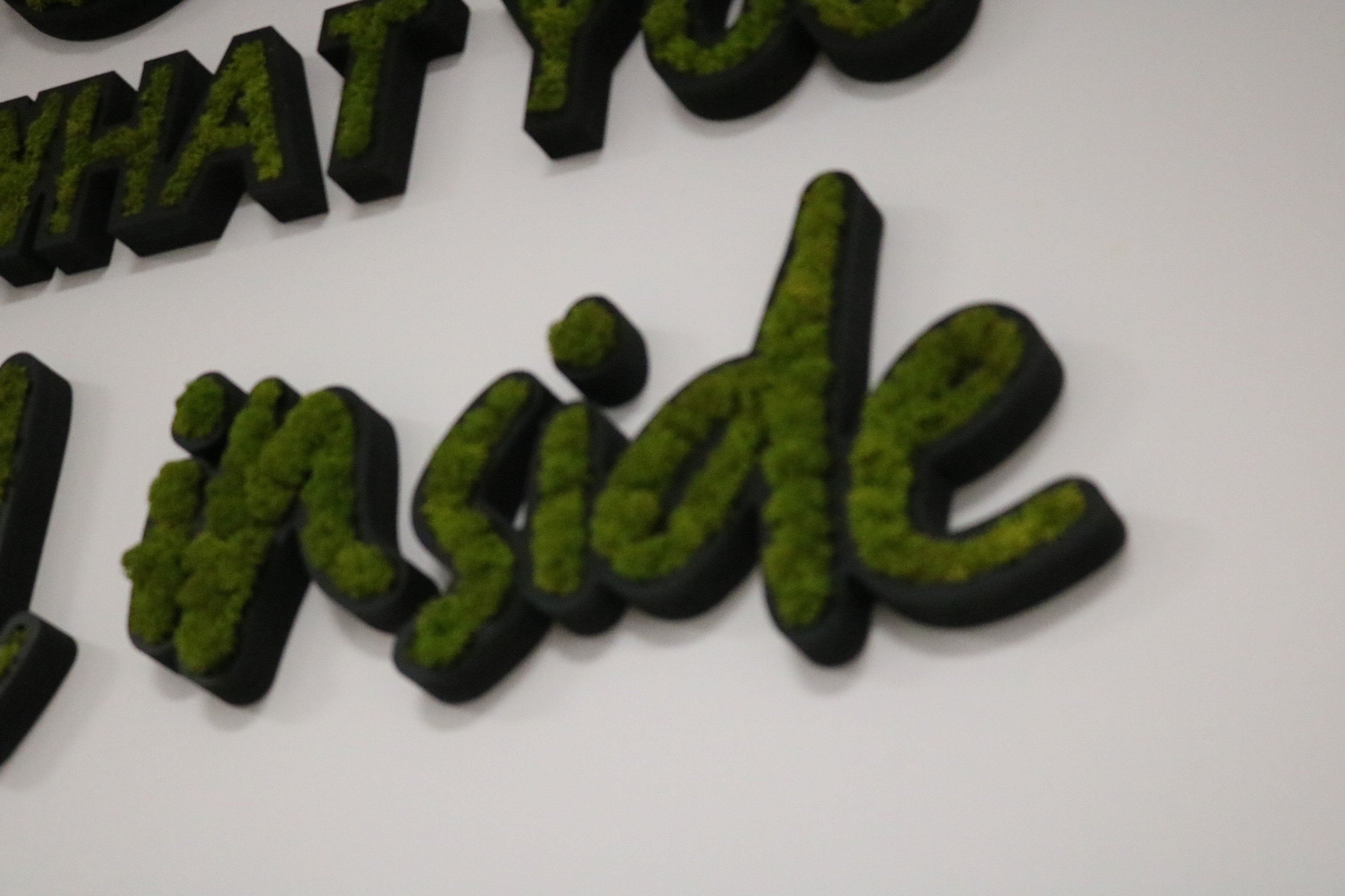 LOGO VEGETAL