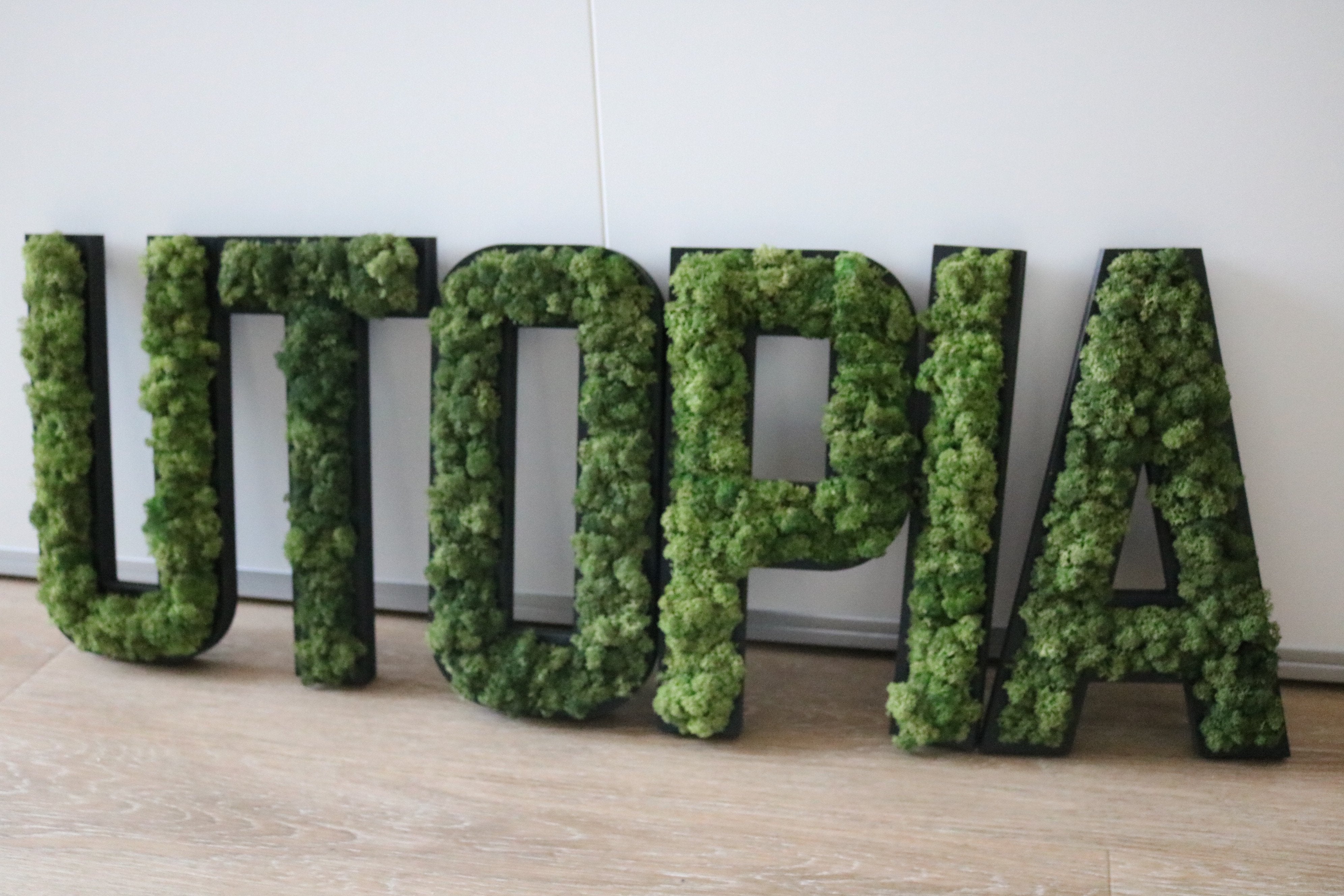 LOGO VEGETAL