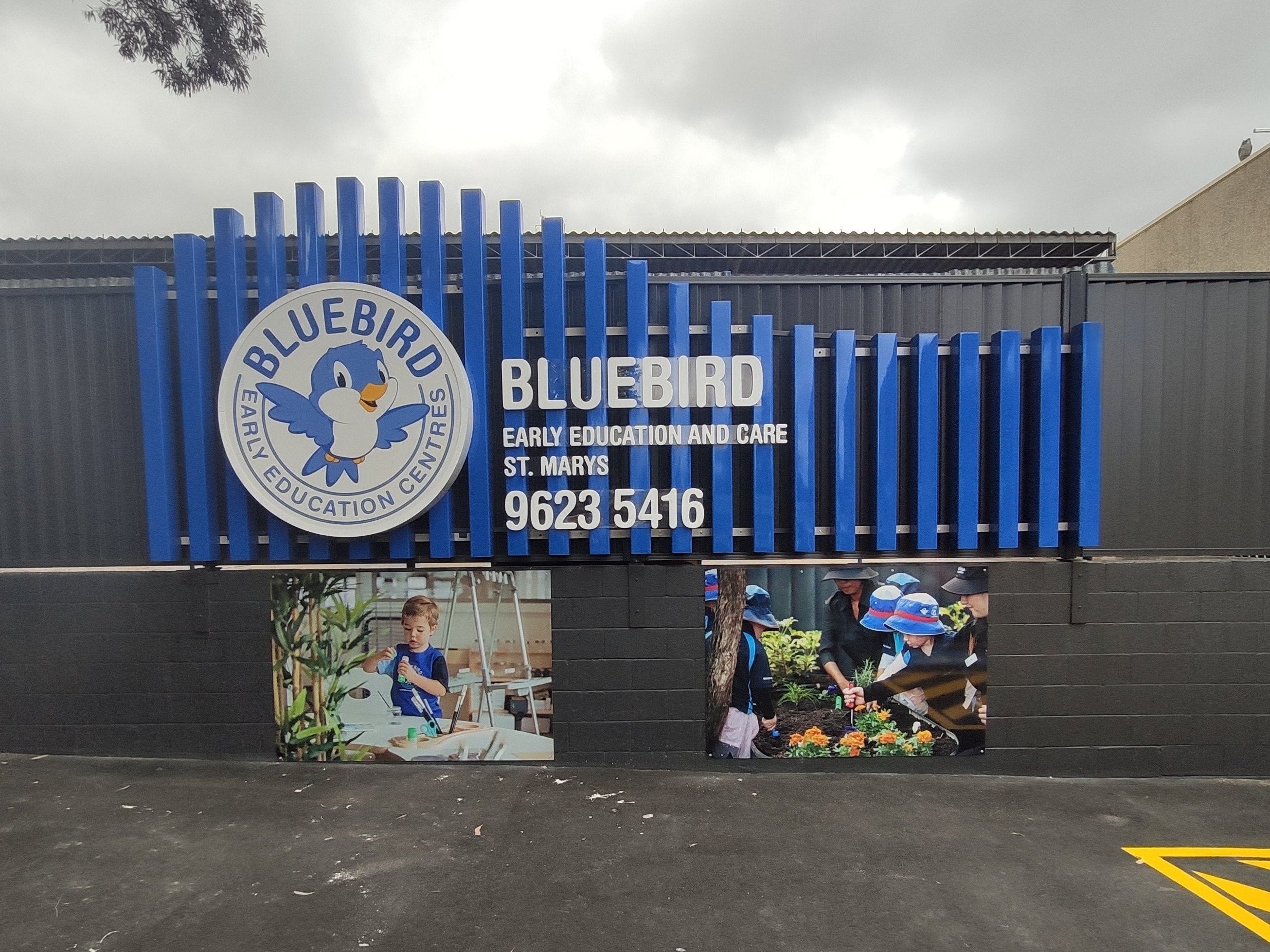 Bluebird ELC