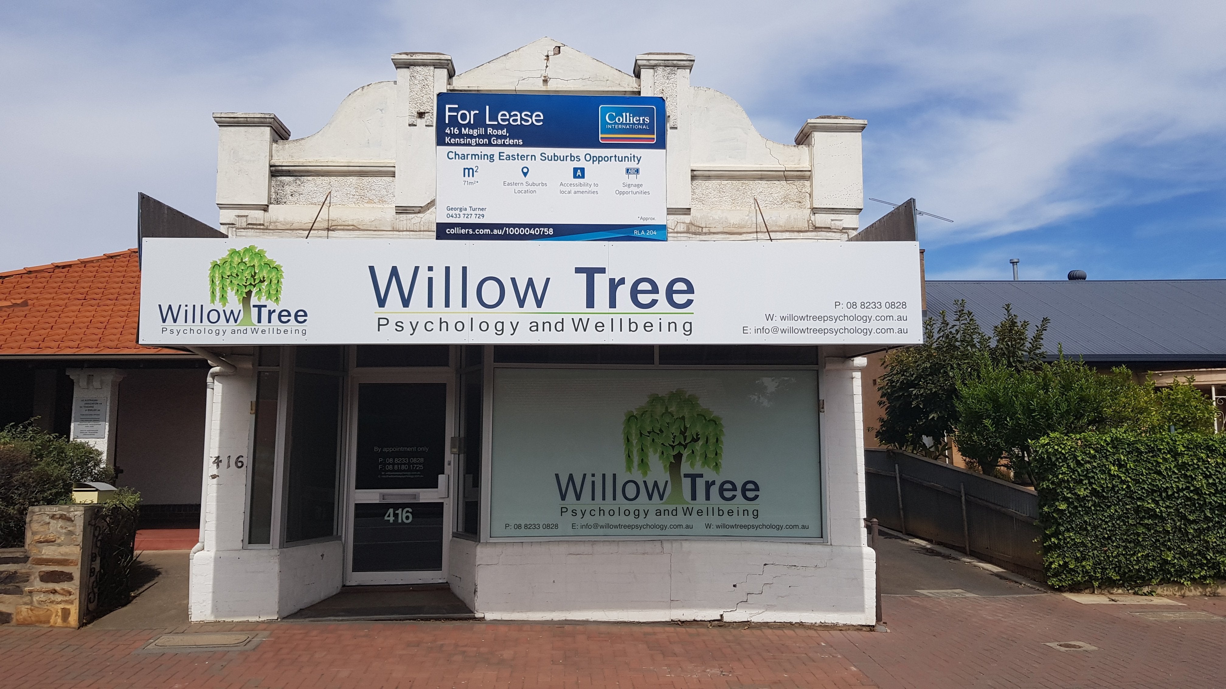 Willow Tree