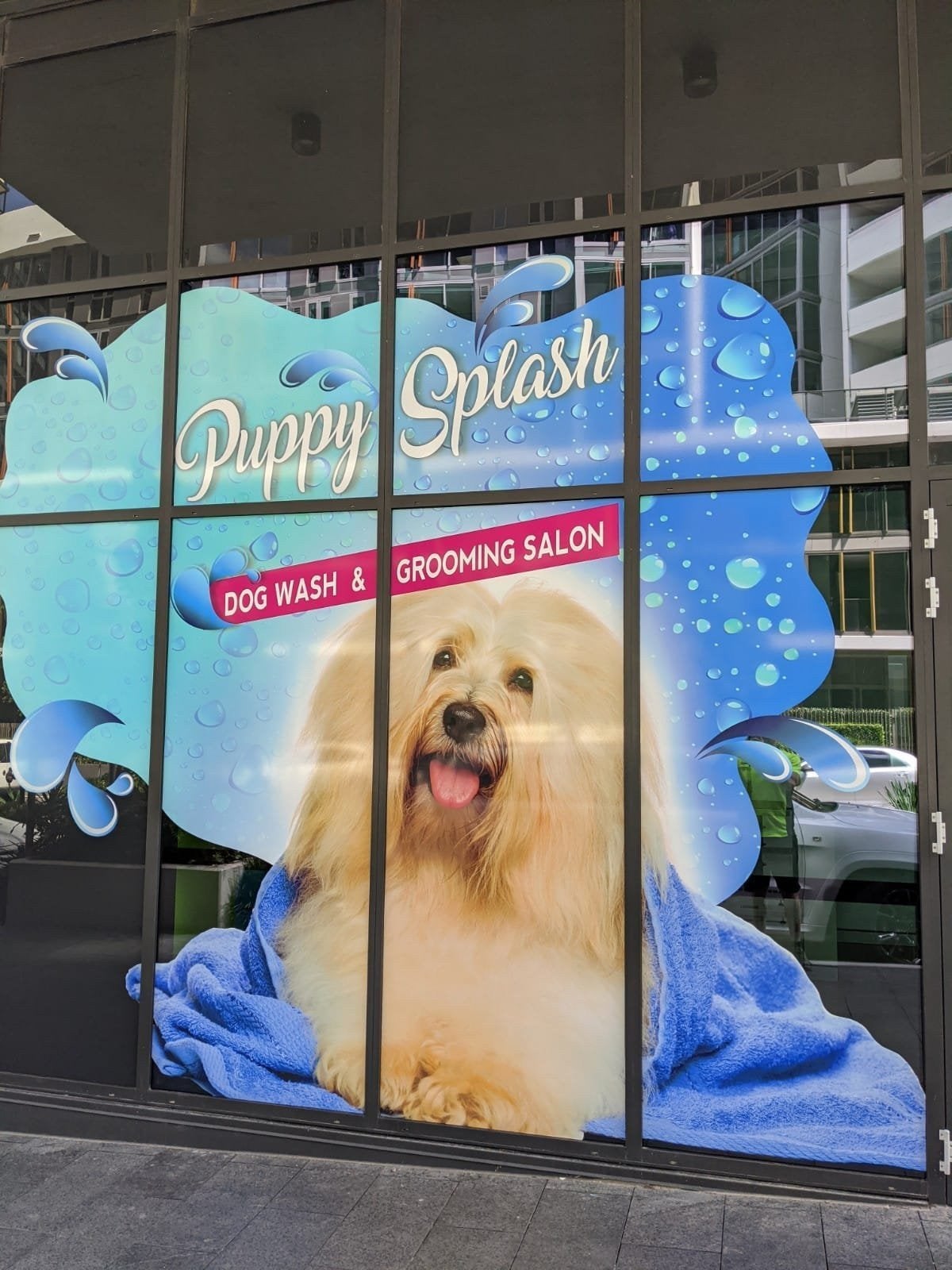 Puppy Splash  - Vehicle Wrap - Signarama Bankstown