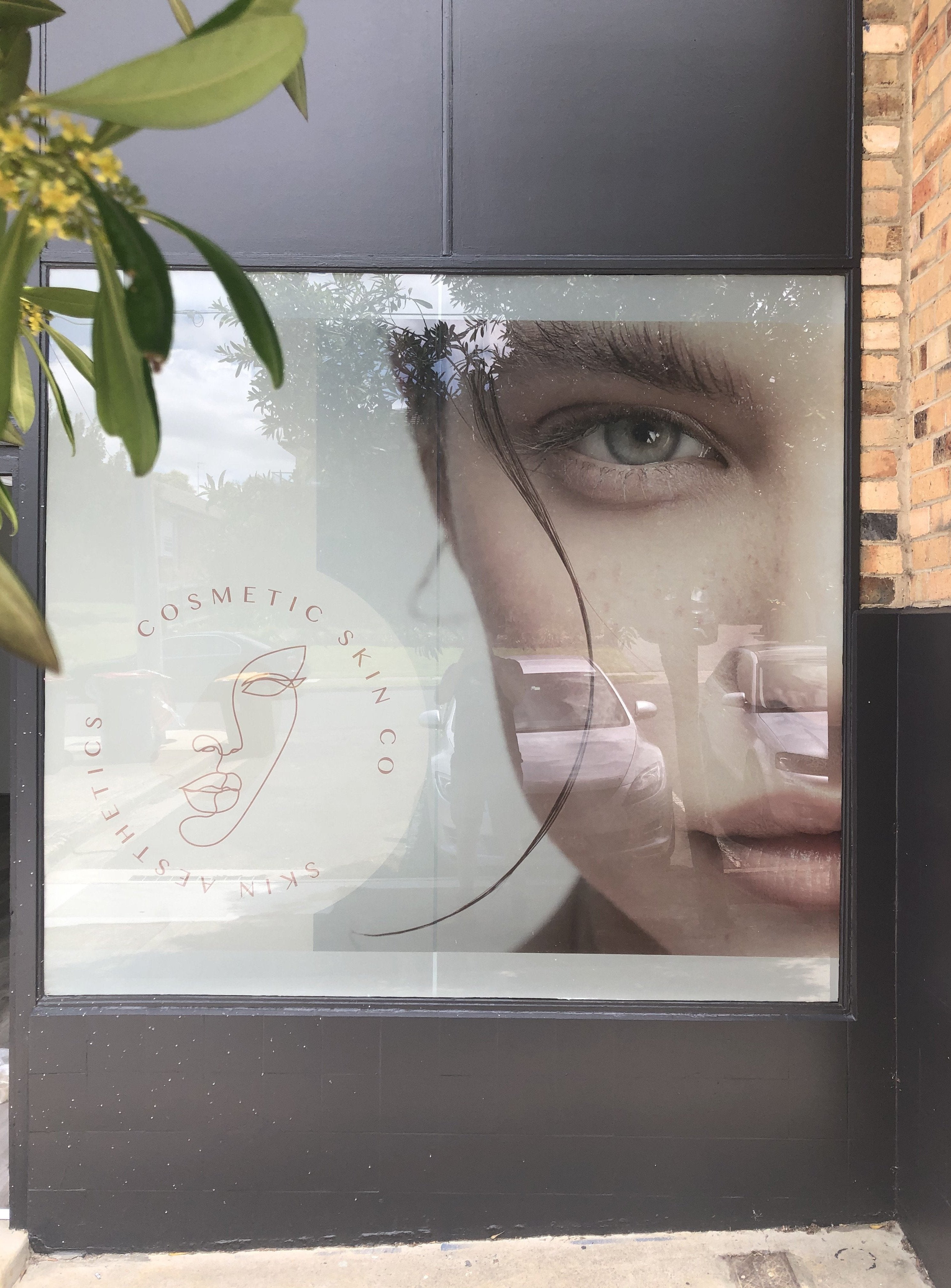 Window Frosting Cosmetic Skin Co