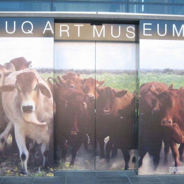 Vinyl graphics (12)