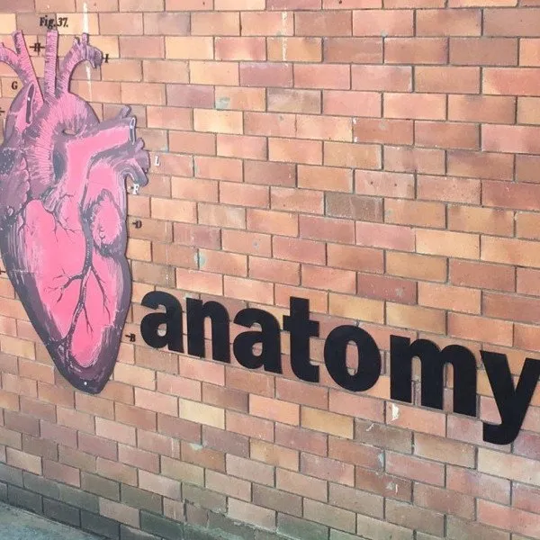 Uni Wall Letters