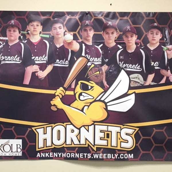 Hornets Banner
