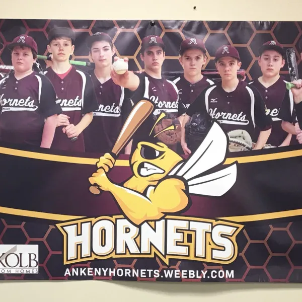 Hornets Banner