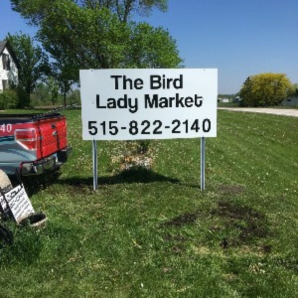 Bird Lady Sign