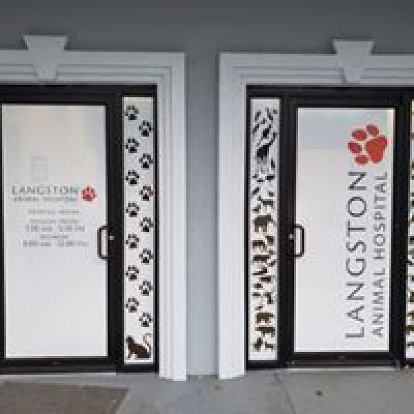 Langston\'s Window Perf