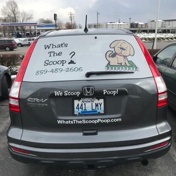 What\'s The Scoop Perforated Vinyl