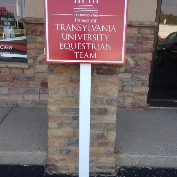 Transylvania Equestrian Team