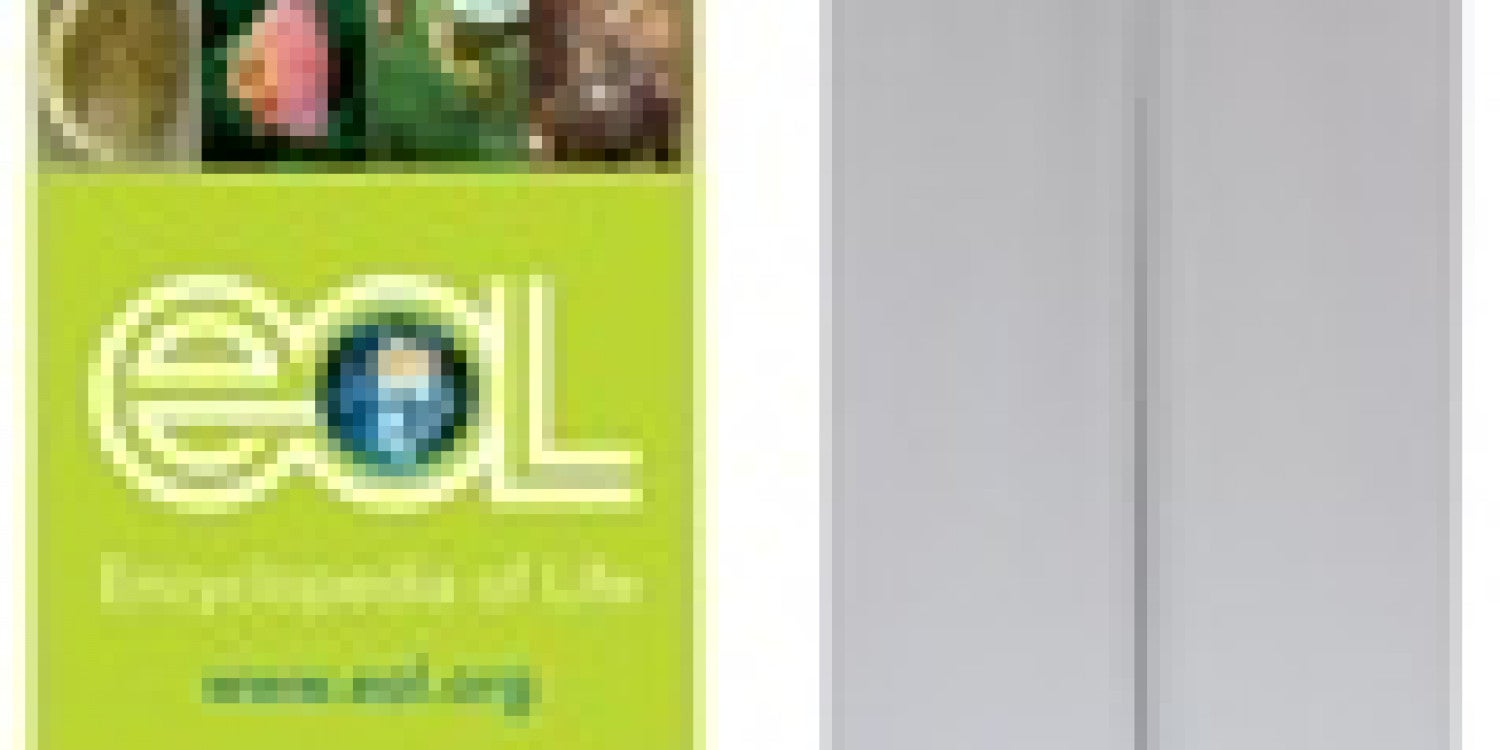 Retractable Banner Stands