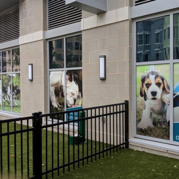Window Graphics   Dog Parksignarama Silver Springharlowdcsmall