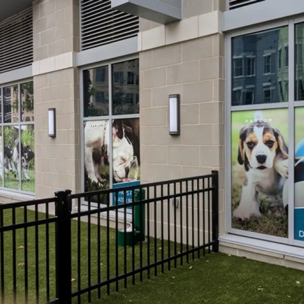 Window Graphics Dog Parksignarama Silver Springharlowdcsmall