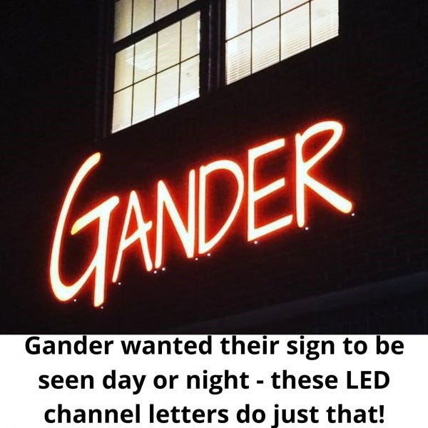 Gander