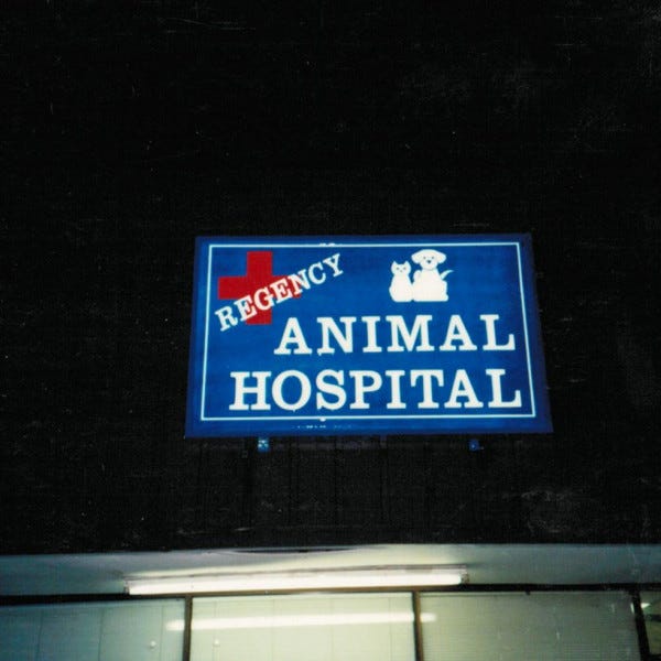 Regency Animal Hospital