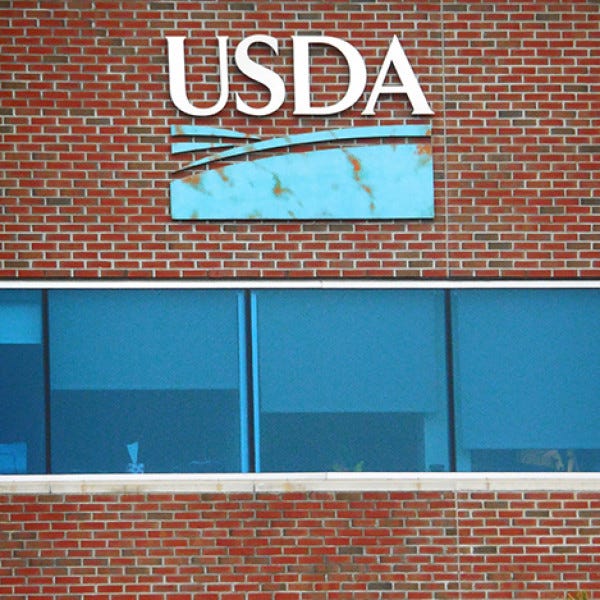 3d Non Lit Channel Letters With Copper Verdi Gris Finish   Usda   South Burlington Vt