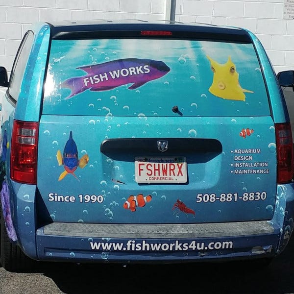 Fishrear