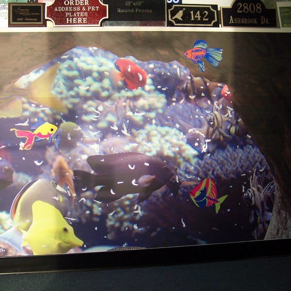 Fish Phototex Wall Mural
