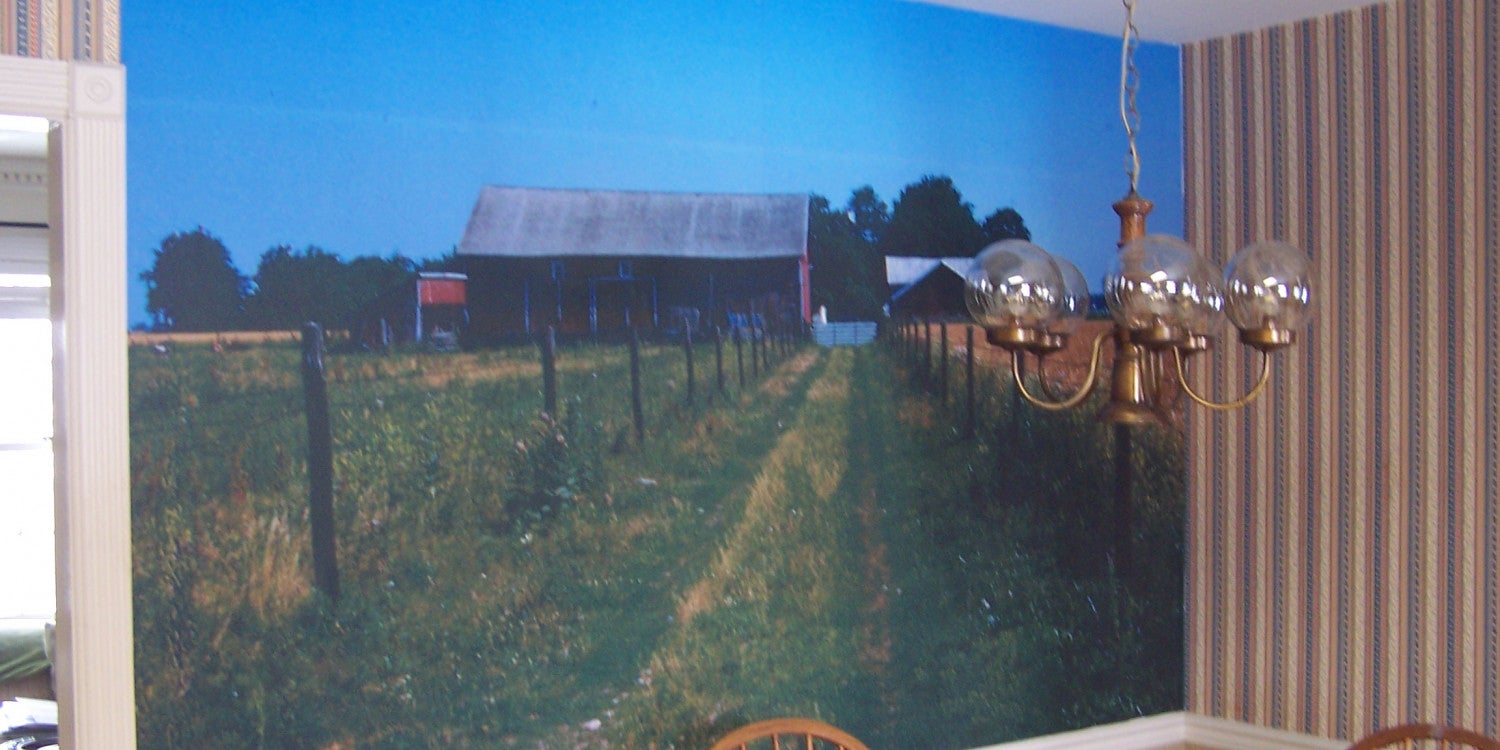 Wall Graphics & Murals