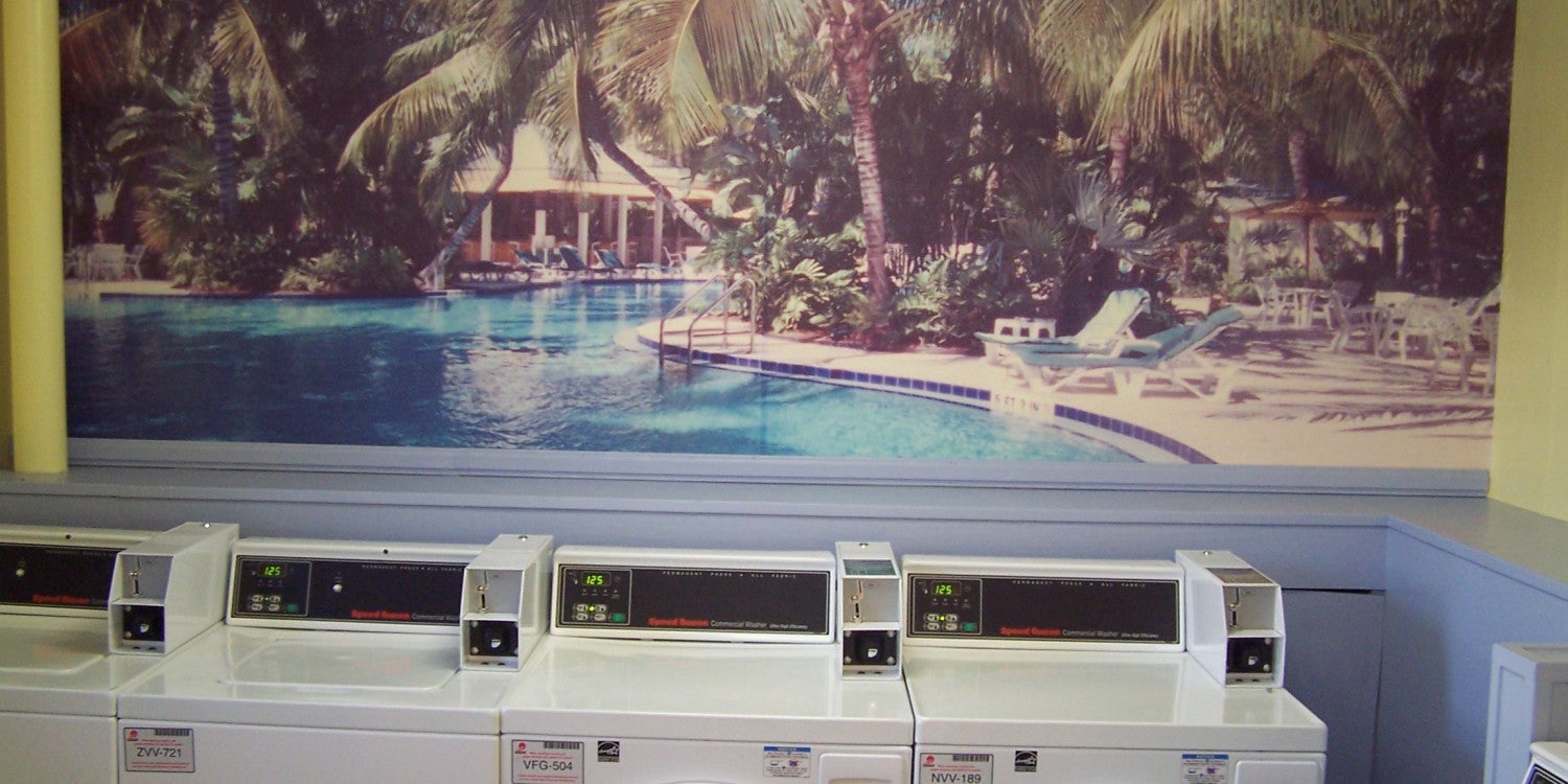 Wall Graphics & Murals