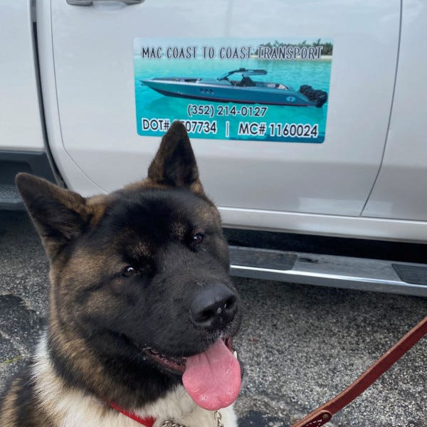 Vehicle Magnet And Dog