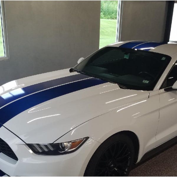 Mustang Stripes 1