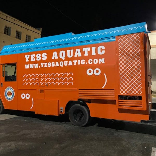 Vehicle Wrap