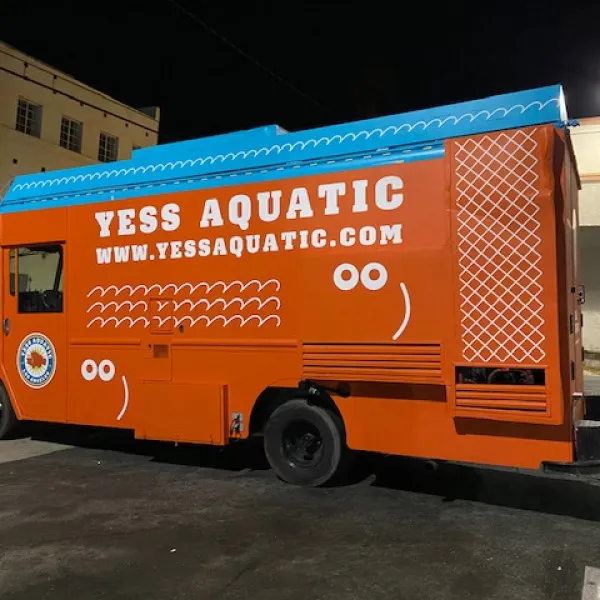 Vehicle Wrap